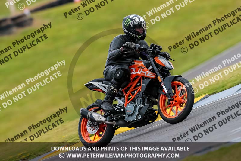 PJ Motorsport 2019;anglesey no limits trackday;anglesey photographs;anglesey trackday photographs;enduro digital images;event digital images;eventdigitalimages;no limits trackdays;peter wileman photography;racing digital images;trac mon;trackday digital images;trackday photos;ty croes